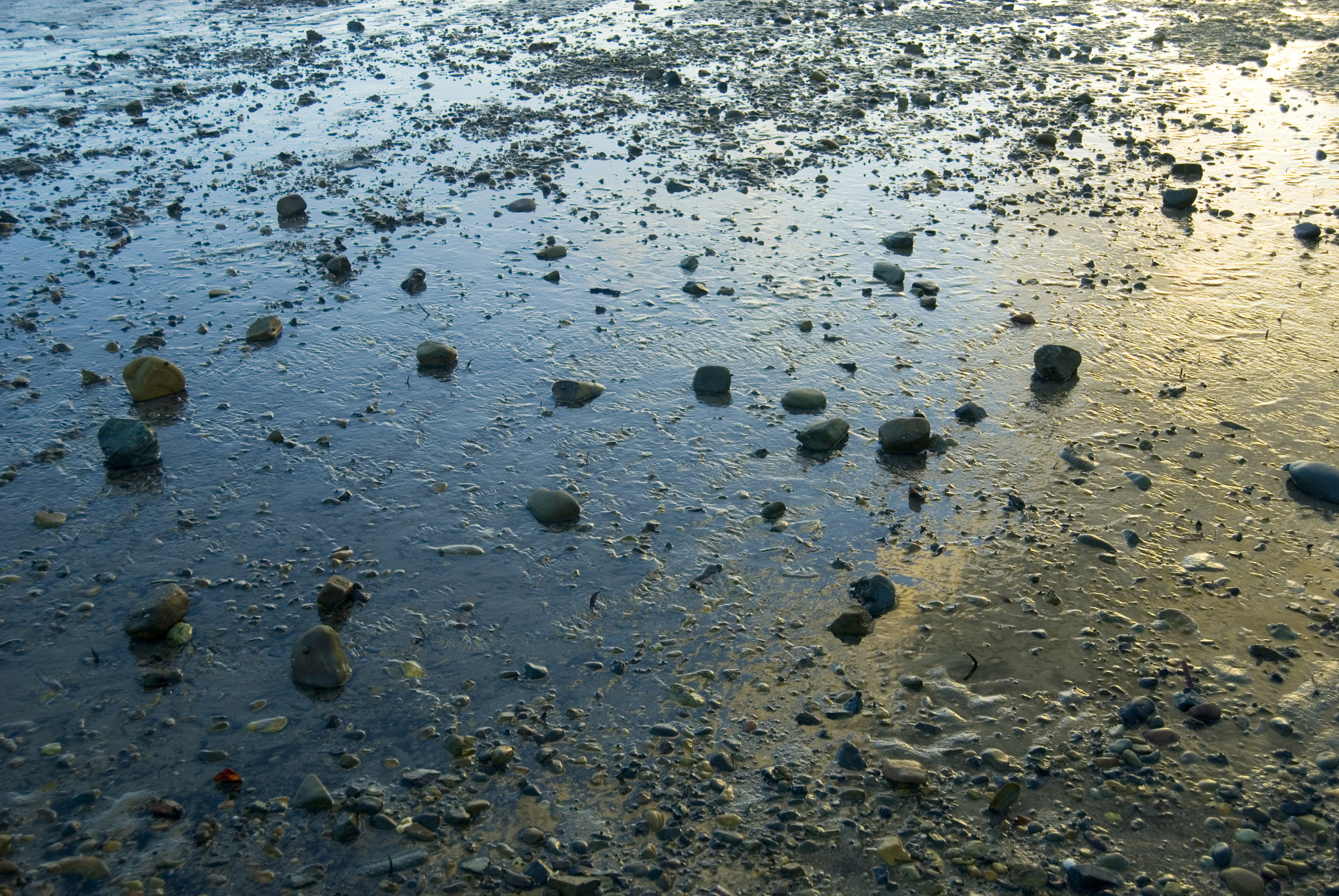 RIACHUELO