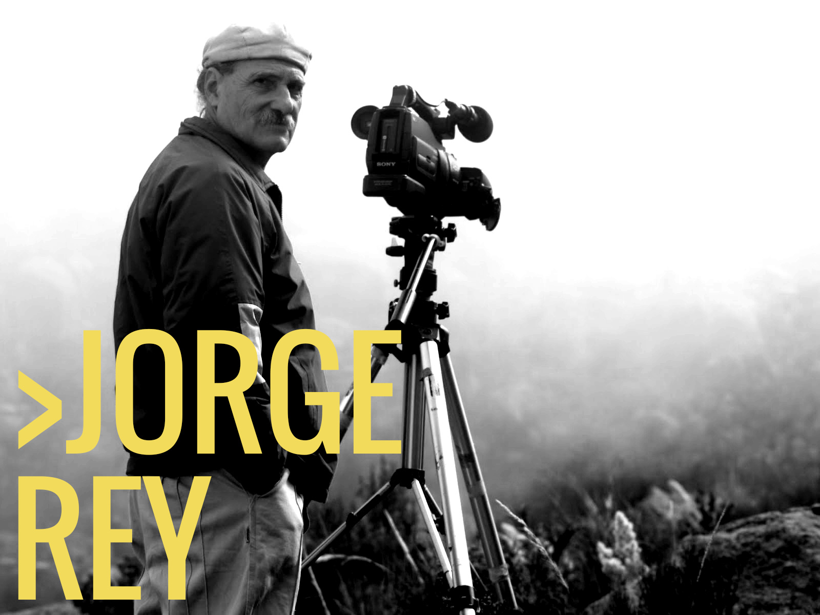 Jorge Rey