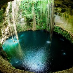 Naturaleza