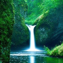 Naturaleza