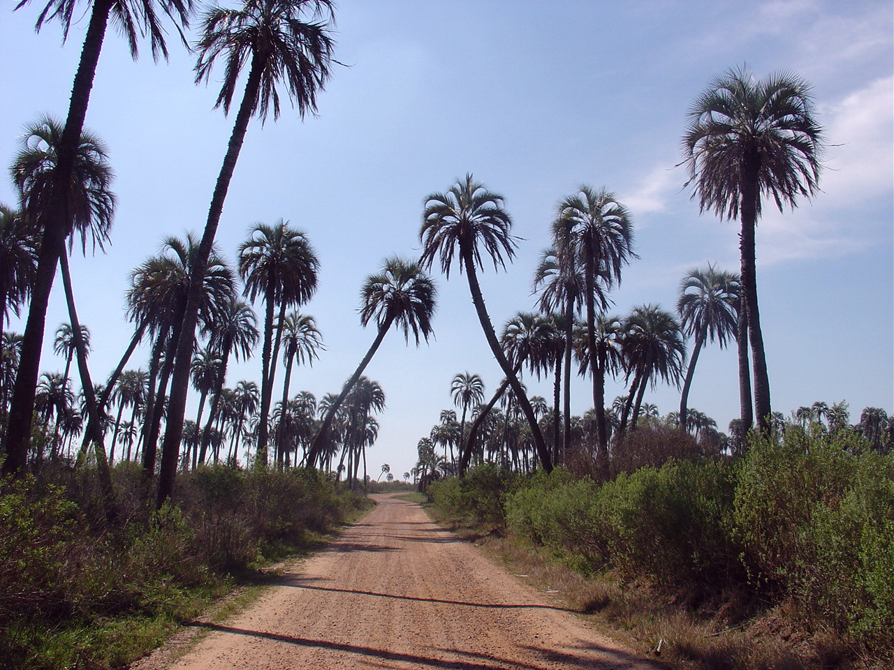 Region Centro