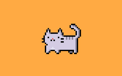 El gato de la FADU