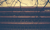Ventanas