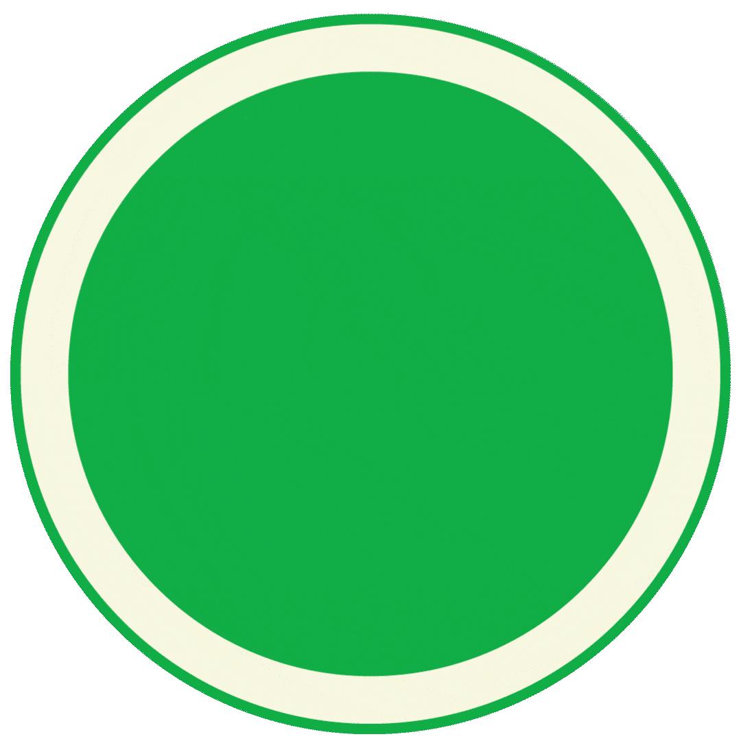 Temporizador