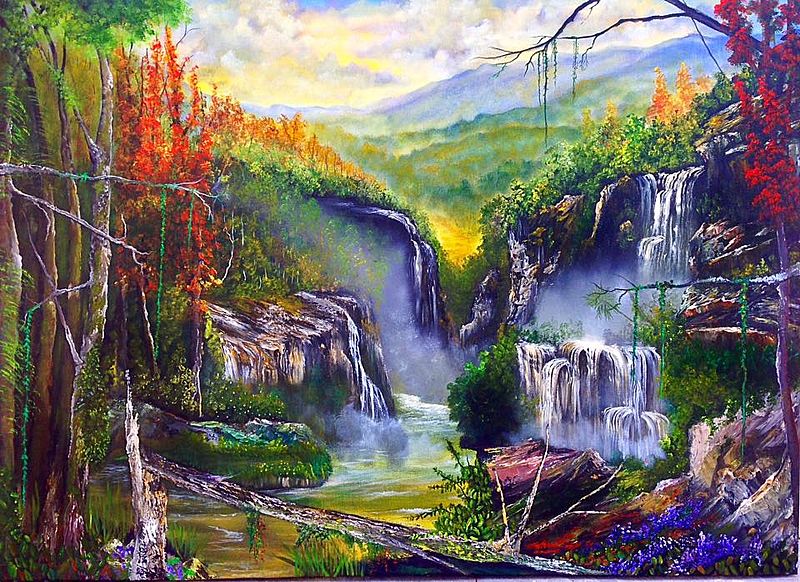 imagen subida para el concurso