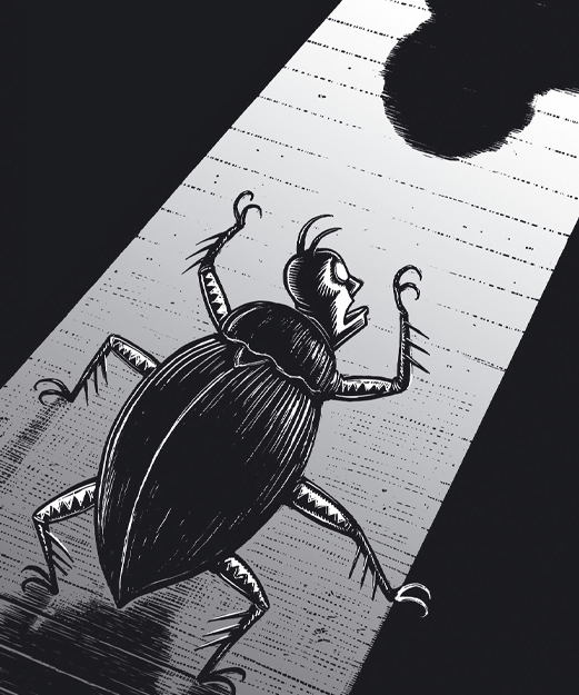 la metamorfosis