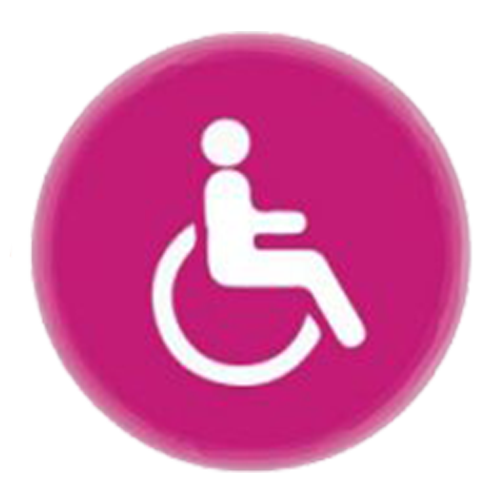 discapacidad-motriz-reducida