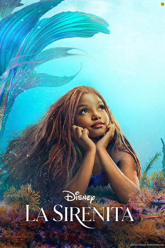 Póster de la película La Sirenita