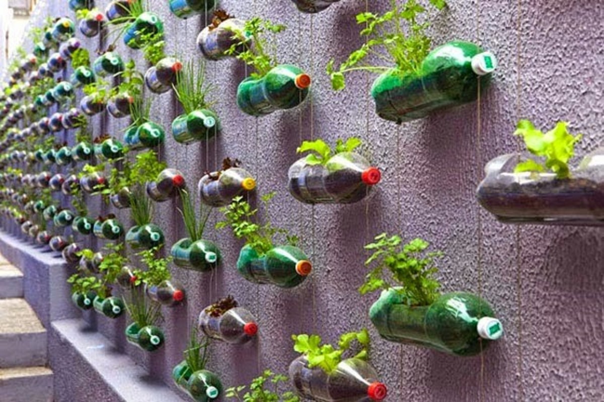 Botellas recicladas 1