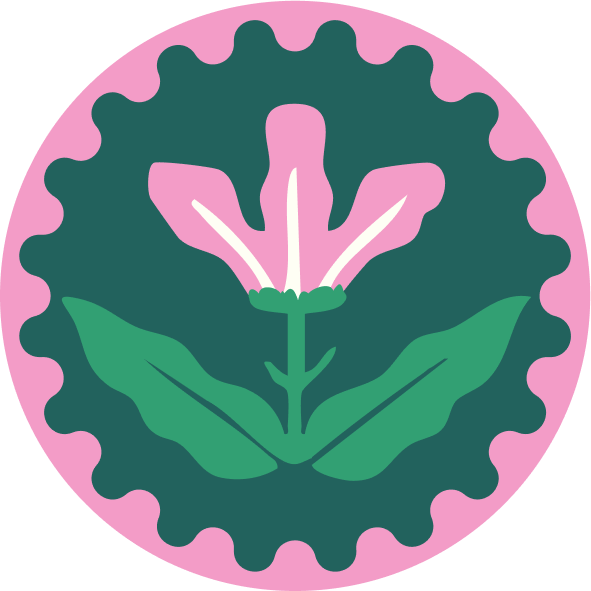 Eco Amigo