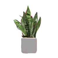 Trabajo 1: Descripción breve del trabajo