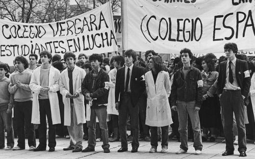 Imagen representativa de Favalli