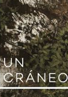 Poster Un cráneo